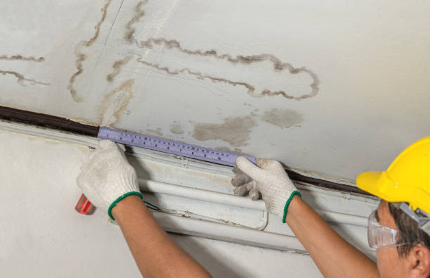 Reliable Basement Water Removal contractor in Sunnyside, WA by Water Damage Irwin
